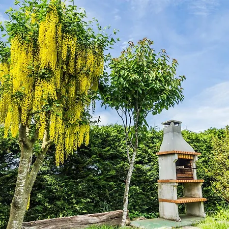 Casa Do Ferrador Holiday home *