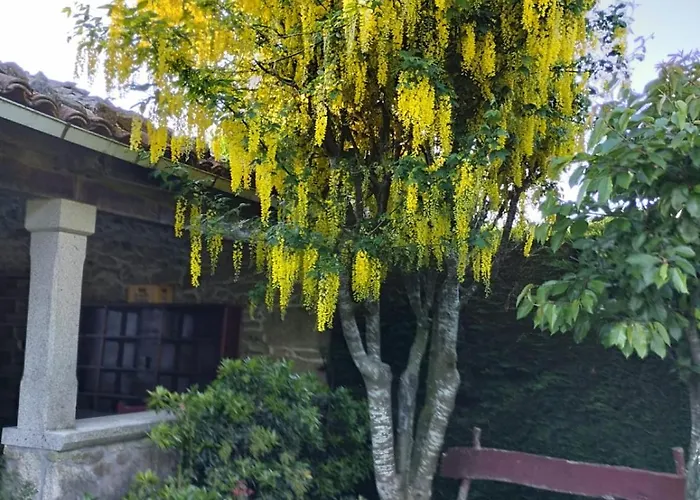別荘 Casa Do Ferrador Penasillas