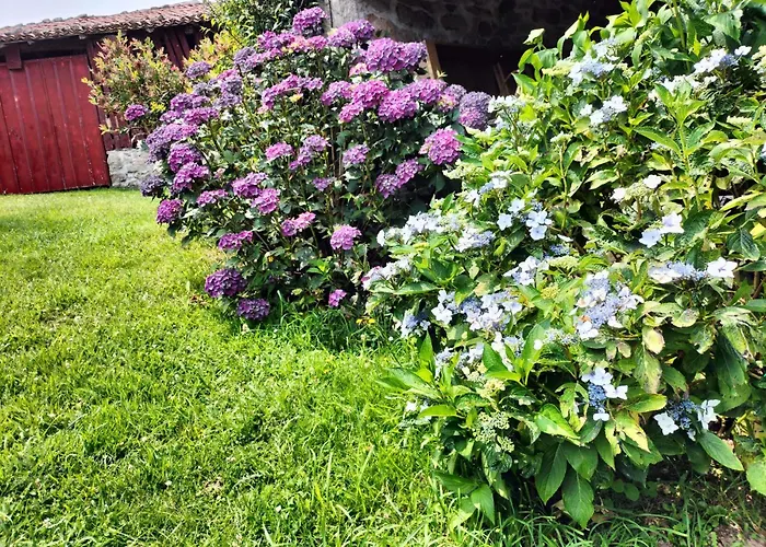 別荘 Casa Do Ferrador *